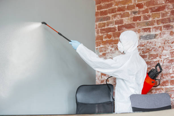 Best Mold Remediation for Healthcare Facilities  in Turner, OR