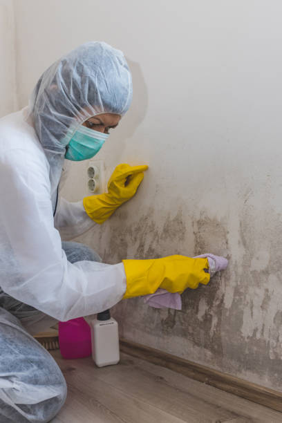 Best Indoor Air Quality Assessment  in Turner, OR