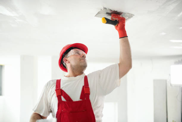 Best Mold Odor Removal Services  in Turner, OR