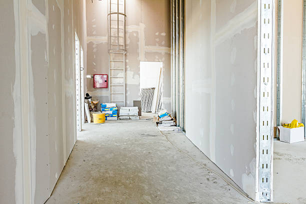 Best Basement Mold Removal  in Turner, OR